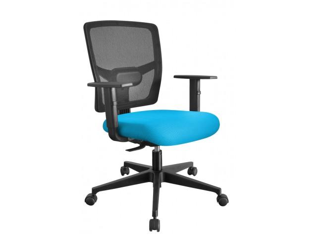 Cadeira Plus Diretor Executiva - Back System